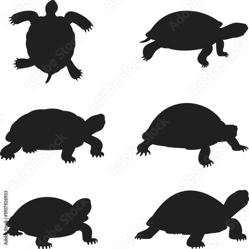 Turtle silhouette set, sea turtle and tortoise poses, black reptile animal shapes, wildlife nature illustration, isolated white background vector design