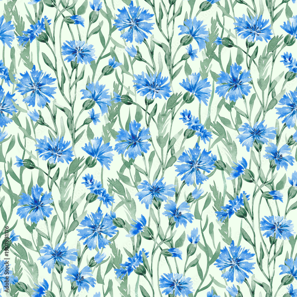Fototapeta premium Cornflowers seamless pattern hand drawn with watercolor. Summer field flowers and herbs. Blue meadow florals. Design for textile, fabric, packaging