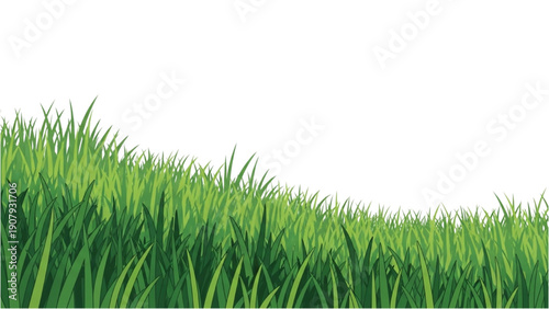 A serene landscape of lush green grass viewed from a low angle against a white background