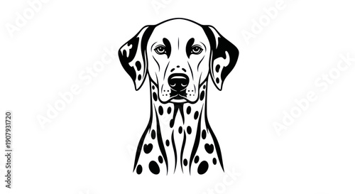 Elegant black and white portrait of a dalmatian dog isolated on white