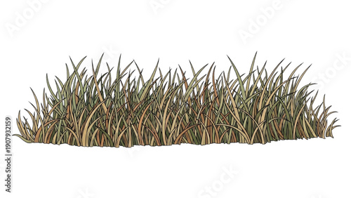 A close-up view of a lush, green grassy terrain isolated on a plain background from a front viewpoint