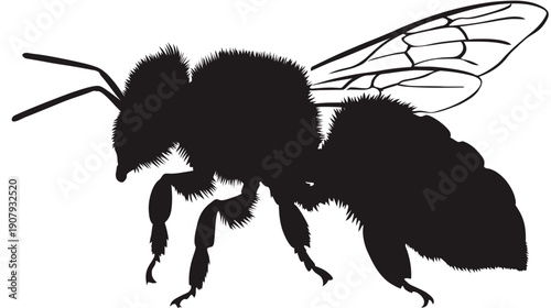 A detailed silhouette of an insect with six legs, wings, and antennae. Vector art