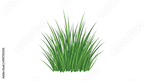 A vibrant clump of lush green grass blades thriving in a natural setting, photographed from a close-up viewpoint