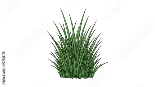 A digital illustration of a lush green grass tuft from a front viewpoint