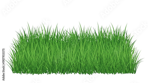 A vibrant illustration of lush green grass blades swaying gently in the breeze from a close-up front viewpoint