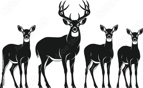 Black and White Silhouette of Deer Family with Majestic Buck and Does for Wildlife Nature Graphics Forest Animal Vector Art and Hunting Season Illustration