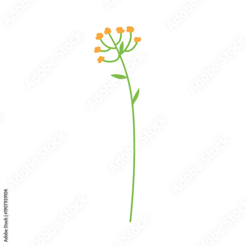 Floral branch. Herbal plant, meadow wildflower. Delicate gentle flower, tiny ...