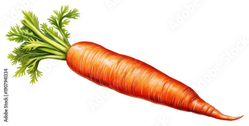PNG Carrot vegetable plant food.