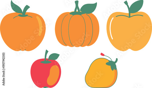 Flat Style Orange Colored Fruits.eps