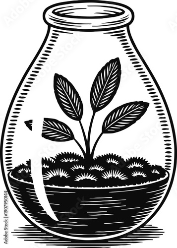 Glass terrarium with small plant and moss inside, botanical nature container illustration