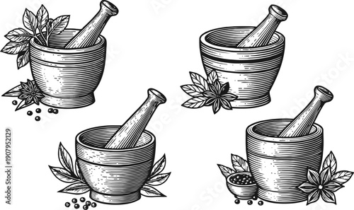Vintage mortar and pestle illustrations with herbs and spices, botanical kitchen tools set