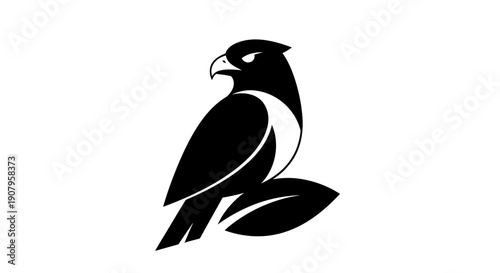 Black and white hawk illustration