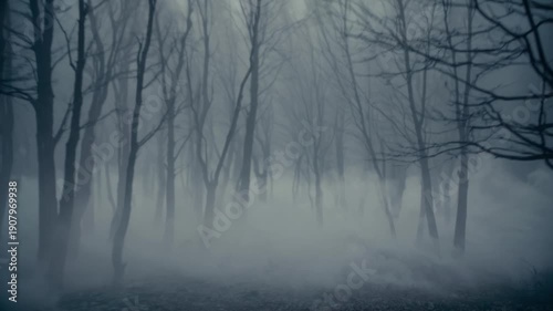 Foggy forest with bare trees and mysterious atmosphere at dawn  