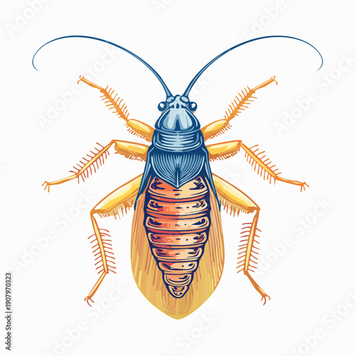 Illustration of a cockroach viewed from above, showcasing its vibrant blue and orange body against a neutral background
