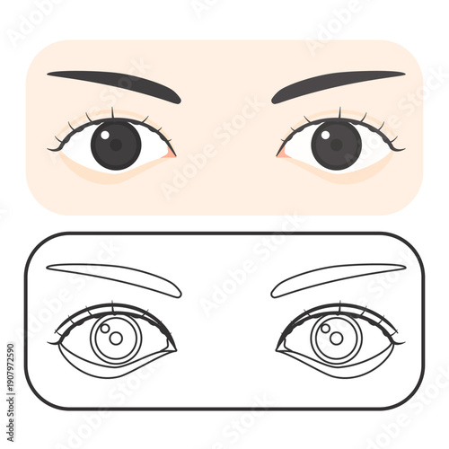 目の塗りと線のベクターイラスト