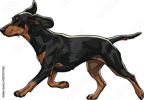 Slovensky Kopov Dog running energetic athletic movement 