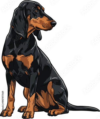 Slovensky Kopov Dog sitting alert attentive looking away illustration