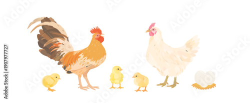 Cute cartoon farm birds collection. Vector hand drawn illustrations of Chicken family. Hen, Rooster and little Chicks isolated on white background. Set of poultry clip art.