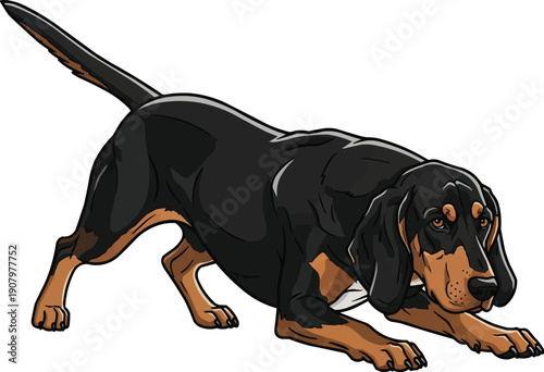 Slovensky Kopov Dog crouching alert focused hunting stance illustration