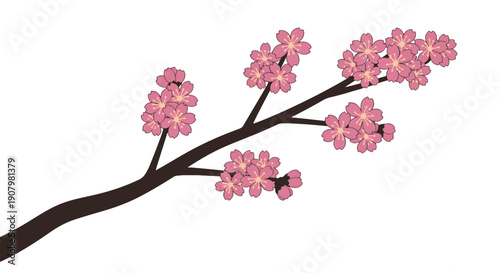 Delicate Pink Cherry Blossom Branches with Intricate Petals and Yellow Stamen Set Against a Stark Black Void Evoking Spring and Natures Transient Beauty