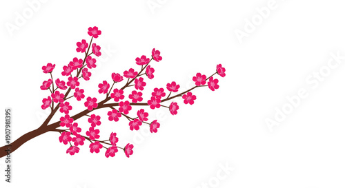 Delicate Pink Cherry Blossom Branches with Intricate Petals Bloom Gracefully Against a Deep Black Void Evoking Spring and Natural Beauty