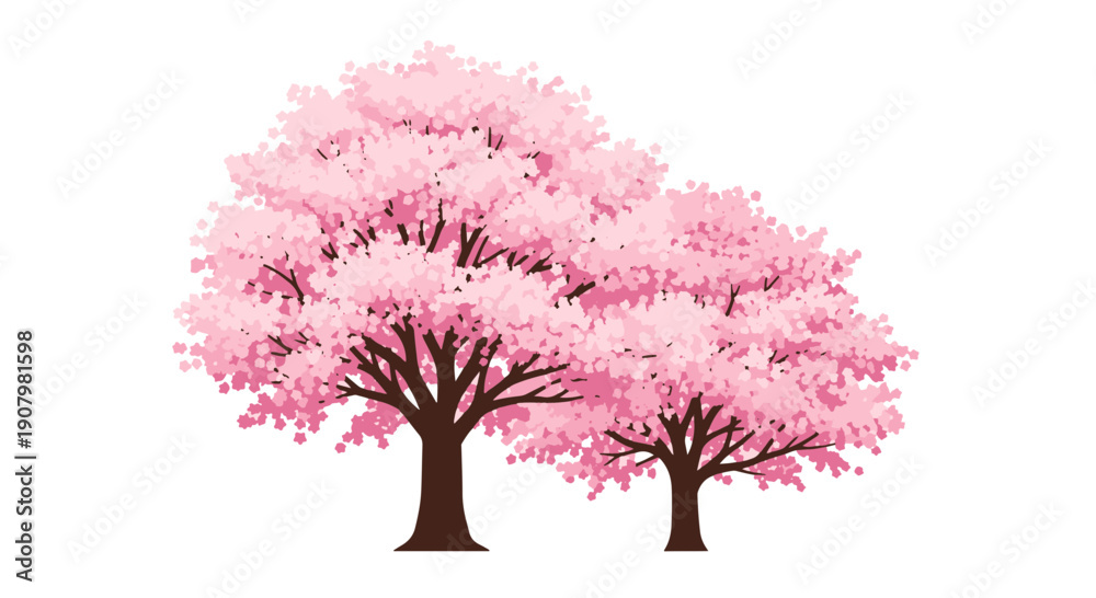 Fototapeta premium Two Flourishing Cherry Blossom Trees with Dense Pink Petals and Sturdy Brown Trunks on a Stark Black Setting Spring Motif