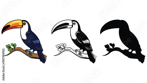 Three toucans are depicted on a branch, showing color, outline, and silhouette.