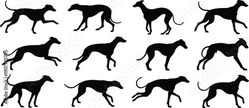 Greyhound dog silhouette collection showing running walking jumping poses isolated on white background clean flat vector illustration set