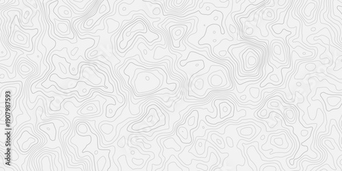 Smooth Flow Abstract Landscape Land Outline Terrain Mapping with Artistic Contour Relief Details
Modern Wave Style Geographic Surface Texture Banner Background