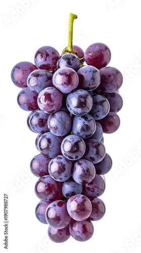Grape Bunch Isolated on White Background, Fresh Purple Fruit Rich in Antioxidants and Used for Wine and Juice Concept