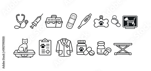 Veterinary clinic icons set: stethoscope, syringe, carrier, bandage, thermometer, bone tag, x-ray, cat on scale