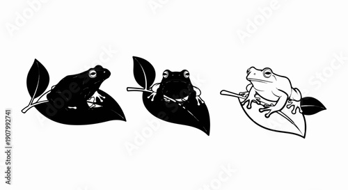 Three frogs perched on leaves, one black silhouette, one solid black, one line drawing