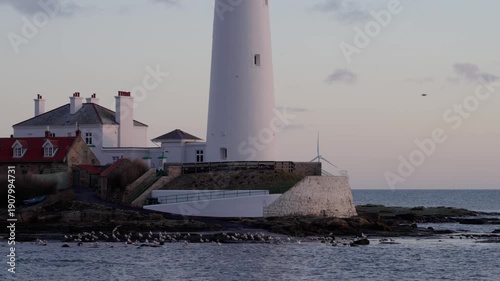 A detailed close-up of the weathered stone base of St Mary’s Lighthouse in Whitley Bay. Seagulls rest on the rocky foreshore