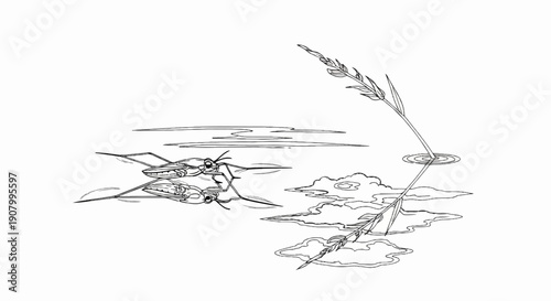 Two water striders on a calm pond with reeds reflected in the water