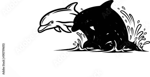 Two dolphins, one black and one white, leaping from water