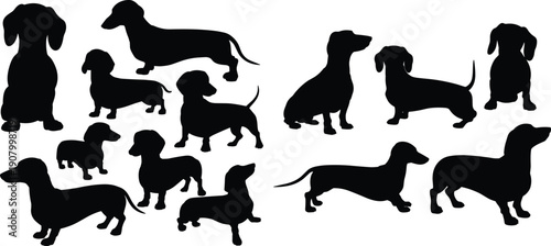 Collection of dachshund dog silhouettes in various standing and sitting poses, black animal shapes isolated on white background