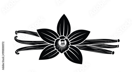 A detailed black and white illustration of a vanilla bean flower
