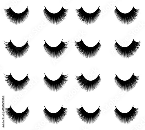 Arrangement of various styles of black false eyelashes displayed against a stark white background high quality