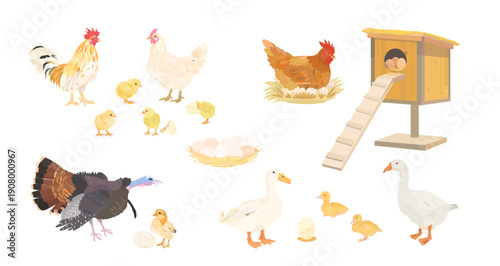 Cute cartoon family farm Birds collection. Vector hand drawn illustrations of Chicken, Hen, eggs, Chick, Duck, Goose, Geese, Turkey and Rooster isolated on white background. Set of poultry clip.