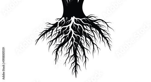 A stark black and white illustration of tree roots extending downwards