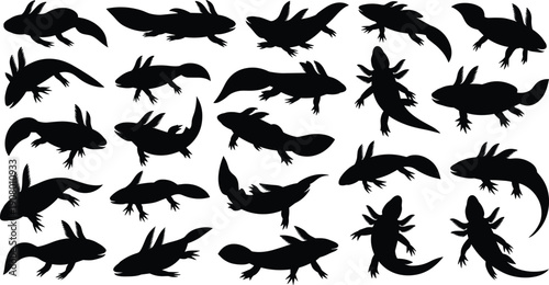 Axolotl silhouette collection with many dynamic poses isolated on white background amphibian animal black vector set