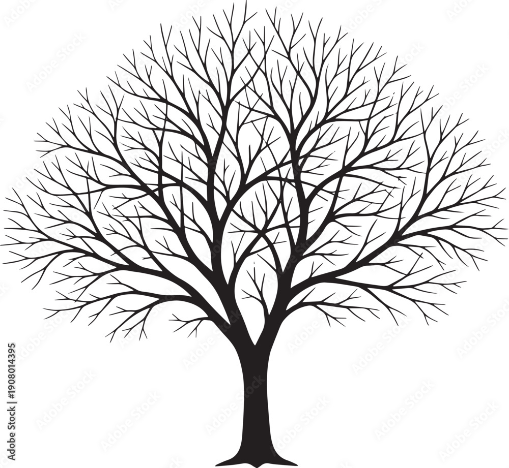 Obraz premium tree silhouette vector
