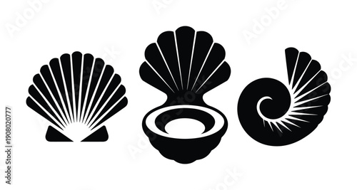 Black Silhouette Icons of Three Distinct Seashells on White Background