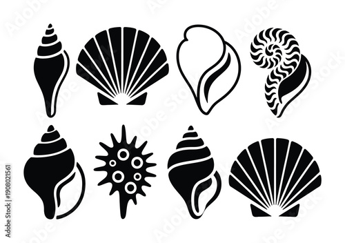 Collection of Black and White Silhouettes of Various Seashells