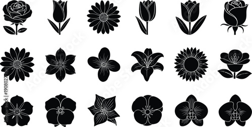 Black and white floral silhouettes collection flowers