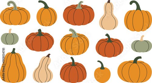 Autumn Pumpkin and Squash Flat Illustration Set with Harvest Vegetables Collection