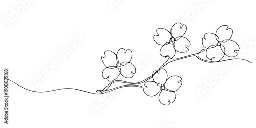 Dogwood Flowers continuous one line drawing, Elegant dogwood floral outline, minimalist botanical illustration, Elegant single line drawing of a Dogwood bloom, conveying simpli, Dogwood tree Hand draw