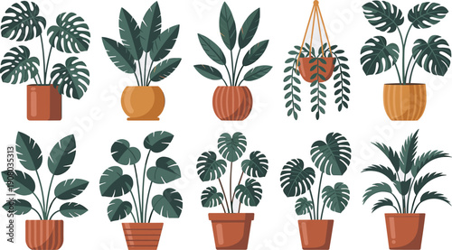 Indoor Houseplants Flat Illustration Set with Potted Tropical Plants and Home Decor