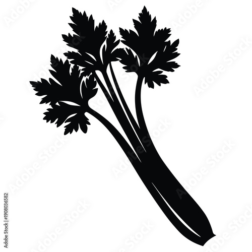 Fresh celery stalk on white background silhouette