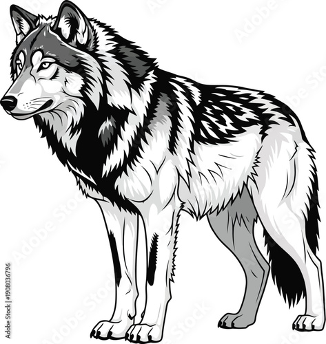 Illustration of a wolf standing sideways in a neutral environment